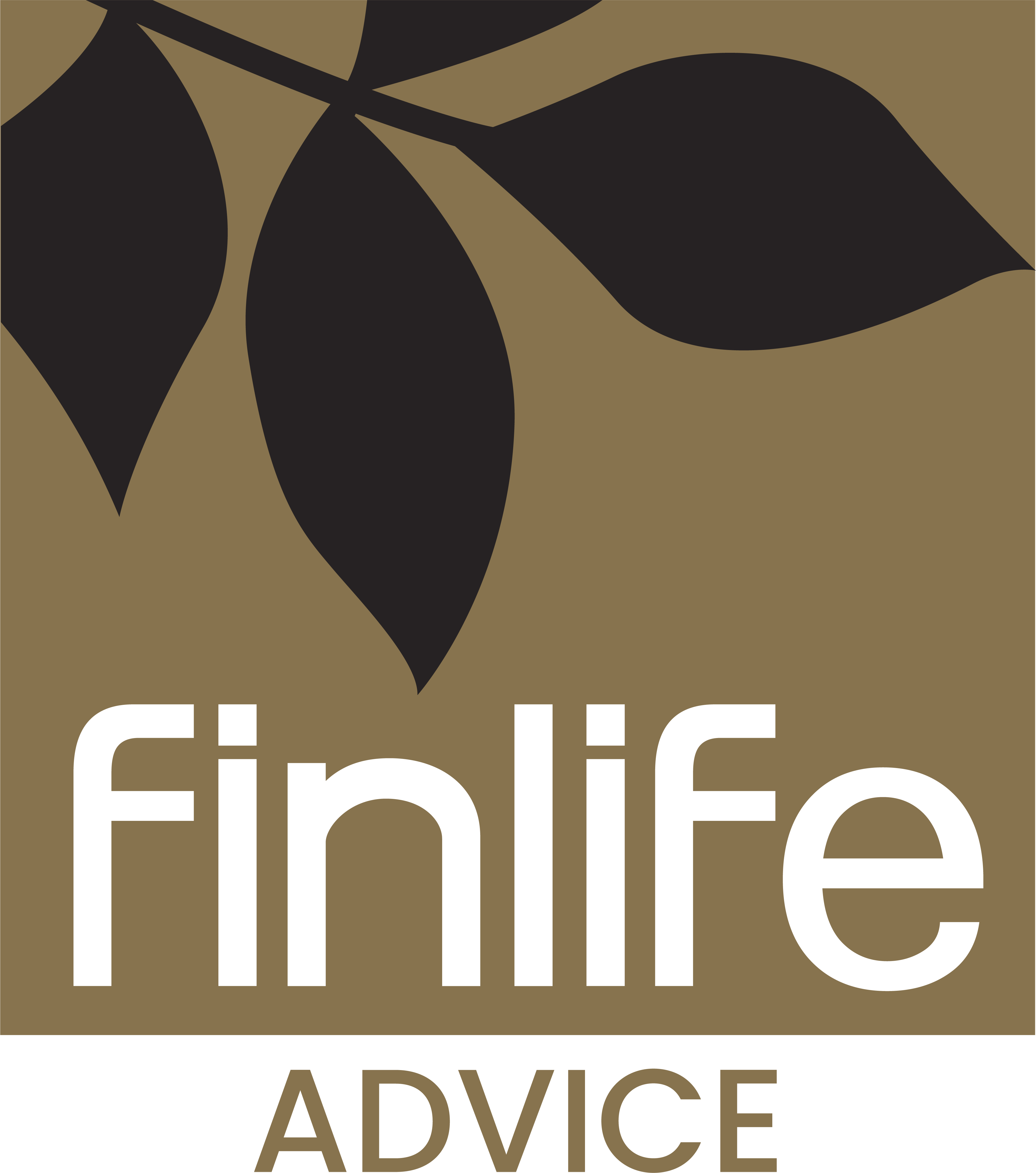 About Finlife Advice Family Owned Financial Administration Finlife About Finlife Advice Family Owned Financial Administration Finlife